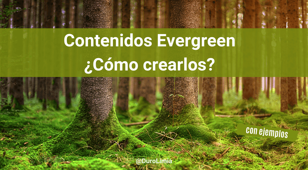 Sonia Duro Limia - ¿Qué es y cómo crear contenido evergreen y actualizar tus posts antiguos?