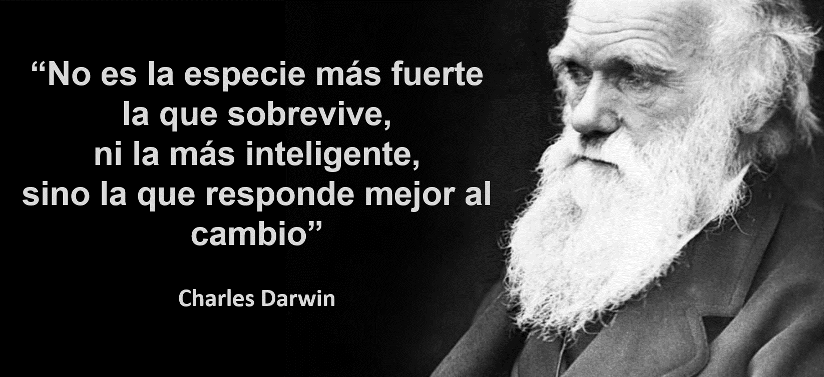 teoria de la evolucion de darwin aplicada a las empresas
