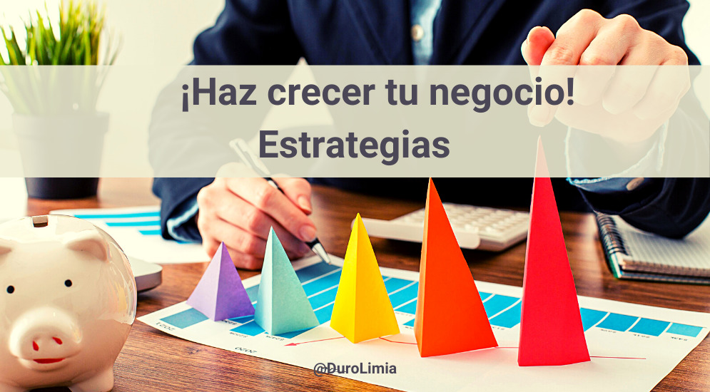 Sonia Duro Limia - 5 Estrategias para hacer crecer tu negocio